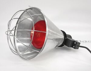 CA-Kerbl Lampa napromiennikowa kabel 2.5m